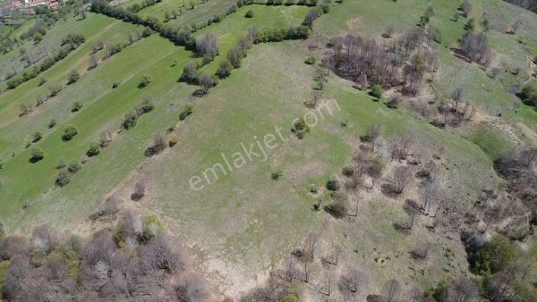 Kısa Vadelı Potansiyeli Olan Bursa İnegöl Hamitabat Köyünde 16 Dönüm Köy Dibinde Satılık Tarla