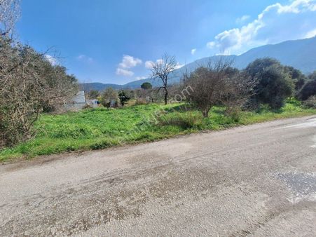 Selçuk Burgazda Kadastro Yola Cepheli Satılık Tarla