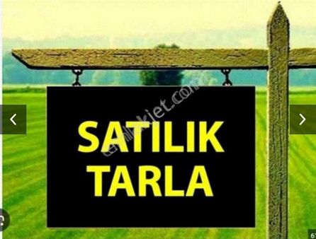 Selçuk Burgaz Köyüne 700 Metre Satılık Kiraz Bahçesi