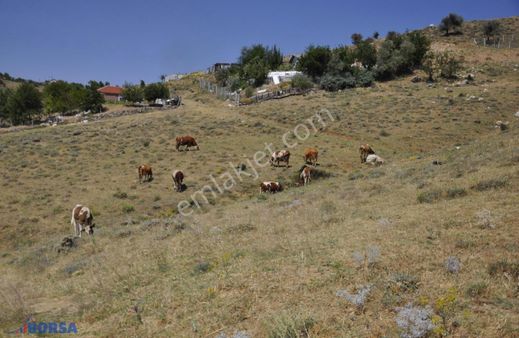 Bağlumda Muhteşem Manzaralı Satılık 22.900 M2 Villa Arsası