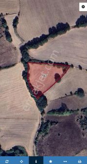 Balıkesir Gönen Küpçıktı Köyünde Yol Problemı Olmayan Satılık Hobı Bahçesi