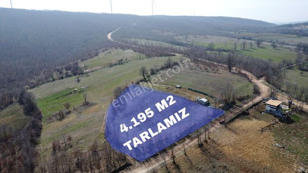 Bursa Nilüfer Korubaşı Köyünde -4.195-m2 Kupon Yola Cephe Bahçe