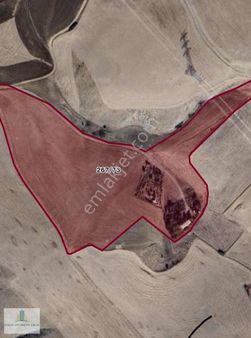 Aynur Emlak'dan Ortaköyde 750 M2 Satılık Tarla Proje Kapsamında