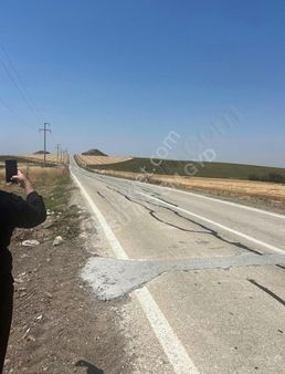 Tekirdağ Çorlu Sarılarda Asfalt Cephe Tek Tapu Tarla Emsalsiz