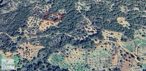 Datça Yaka Mahallesinde 2.268 M2 Deniz Manzaralı Zeytinlik