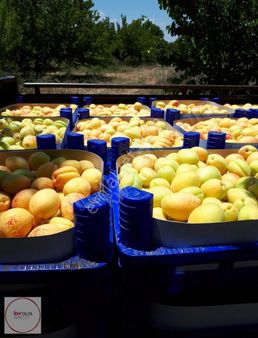 K2a'dan Isparta/yalvaç/aşağı Kaşıkara'da Satılık Kayısı Bahçesi