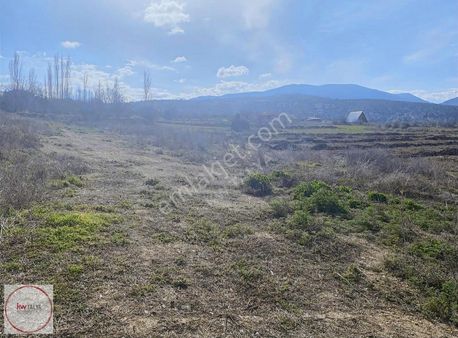 Korkuteli Yelten'de Satılık 2.477 M² Tarla