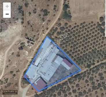 Bayındır Arıkbaşı Satılık Çiftlik