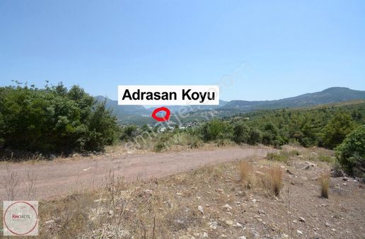 Muhteşem Doğa Manzaralı Adrasan Koyunu Gören 3.533 M2 Tarla