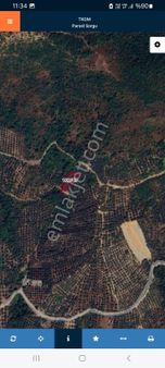 Bursa Orhangazi Çakırlı Köyünde -819-m2 Kupon Yola Cephe Manzaralı Zeytinlik