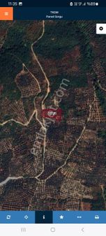 Bursa Orhangazi Çakırlı Köyünde -1.761-m2 Kupon Yola Cephe Manzaralı Zeytinlik