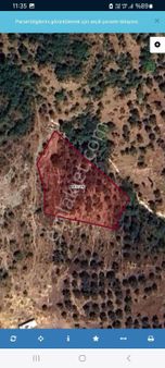 Bursa Orhangazi Çakırlı Köyünde -1.620-m2 Kupon Yola Cephe Manzaralı Zeytinlik