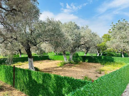 Muhteşem Bahçe Uygun Fiyat