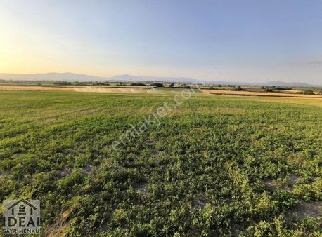 Manisa Şehzadeler Veziroğlu Tilkikoy Yoluna Çok Yakin 39 Dönüm
