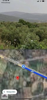 Atlantisten Karacasu Ataeymirde 5265 M2 Zeytinlik Yol Kenarı