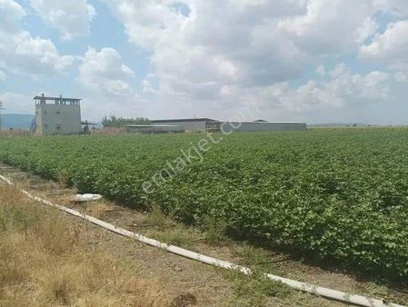 Bergama Ayaskent Mah.köy Civarı İmara Sıfır Satılık Arsa