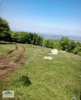 Sermayecik Köyünde Deniz Manzaralı Dümdüz Tarla