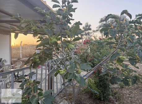 Kazıklıda İmara Yakın 5.585 M² Tarla, Ev Ve Ekipman Dahil