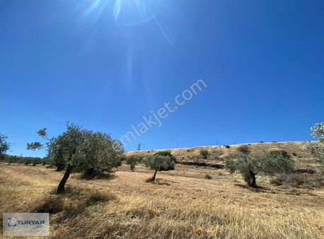 Yukarışakranda 290m2 Satılık İçerisine Konteyner Vb Konulabilen