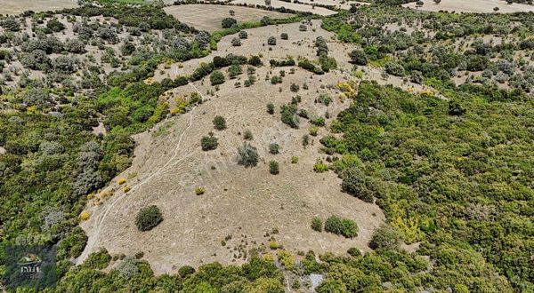 Ezine Şapköyde 35.700 M2 Fırsat Arazi...