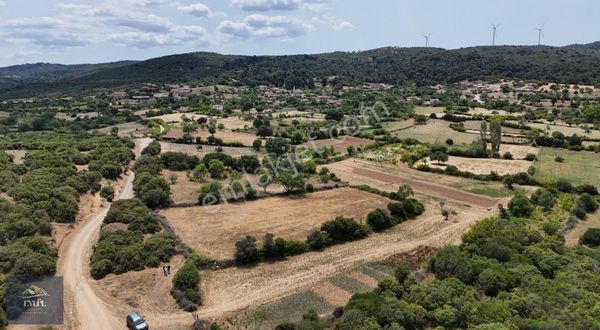 Ezine Şapköyde Köye Çok Yakın Satılık Tarla