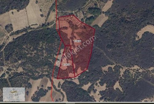 Manisa Salihli Eminbey Köyünde Satılık Tarla