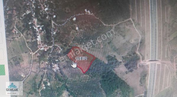 Gemlak Tan 1959m Arazi Hobi Bahçesi Evlere 60 Metrede