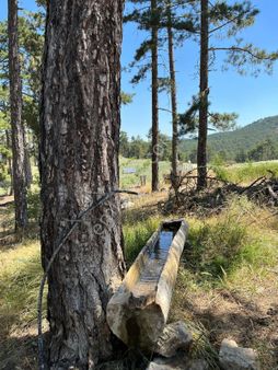 Atabey'den Denizli Yatağan Kefe Yaylası Satılık Bahçe