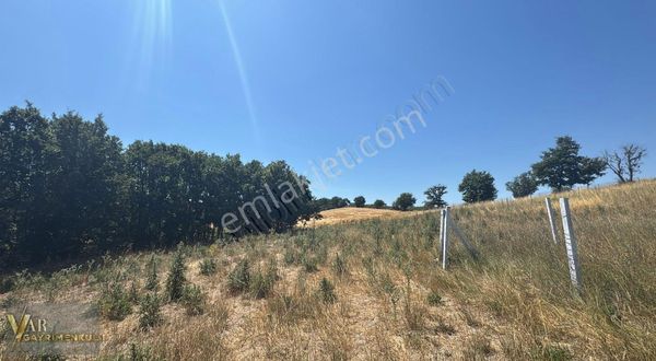 Tekirdağ Saray Büyükyoncalı Satılık 250m2 İmarlı Fırsat Arsa