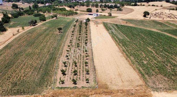 Balıkesir Karesi Çaypınar Mah. Emsalsiz Satılık Hobi Bahçesi