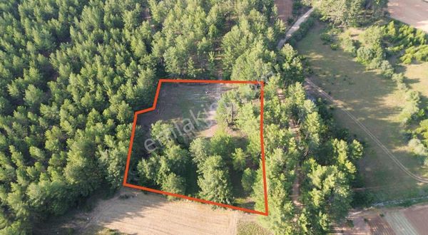 Muğla/menteşe Yaraş Mahallesinde 5.038 M2 Satılık Tarla.