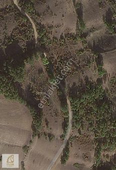 Truvadan Aşağıavdanda Satılık Tarla *tekliflere Açık* Kredi Kart