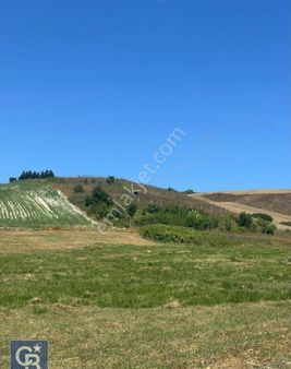 Arnavutköy Dursunköy'de Yatırıma Uygun Satılık Tarla