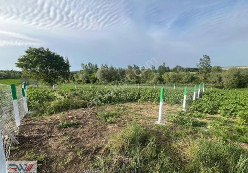 Pınarhisar Kaynarca’da Satılık Parseller Yarısı Peşin 12 Ay Vade