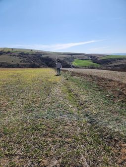 Amasya Suluova Kolay Köyü 12500 M2 Satılık 200 Başlık Ahır Yapma İzni Alınmış Arazi