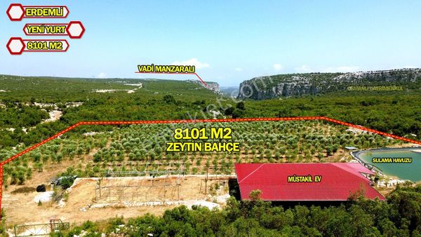 Erdemli Yeniyurt'ta 8.104 M2 Zeytinlik Ve Yeni Yapılmış Muhteşem Manzaralı Müstakil Ev!
