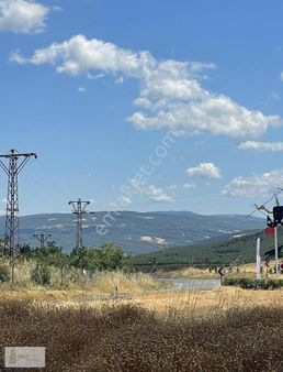 Şarköy İstıklal'de Asfalt Dibi 3.500 M2 Fırsat Tarla