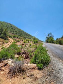 Gazipaşa Ekmel Mahallesinde Yol Cepheli Tarla