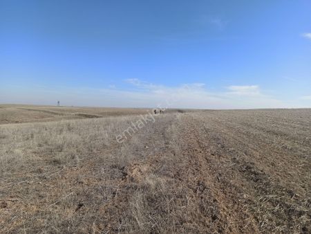 Gölbaşı Cimşitte Satılık Tek Tapu Tarla