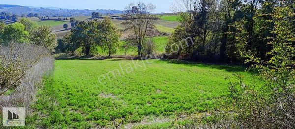 Süper Konumda Köy İçi Yatırımlık %5 İmarlı Verimli Arazi