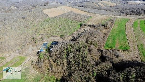 Söğütlü 3.osb Genişleme Alanına Sınır Satılık Arazi