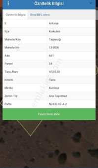 Antalya Korkutelınde Devasa Satılık Tarla Bu Fıyata Cok Uygun