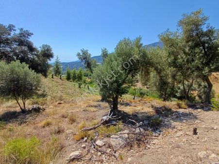 Stop’tan Eldirek’te 1082 M² Deniz Manzaralı Arazi