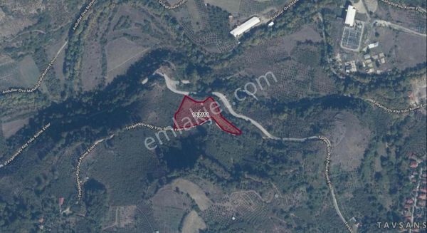 Akyazı Dokurcun Yeni Çay Mahallesinde 6.356m² Satılık Tarla