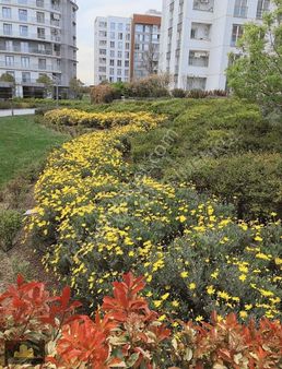 E&c Tema İstanbul Satılık 4+1 202 M2 Göl Deniz Manzaralı Daire