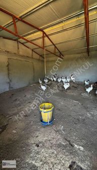 Gemlik Şahinyurdu Satılık Arazi