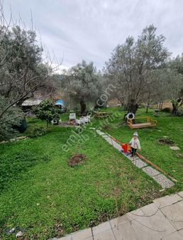 Foça Kozbeyli' De 853 M2 Arazi İçinde 70 M2 Otantik Taş Ev