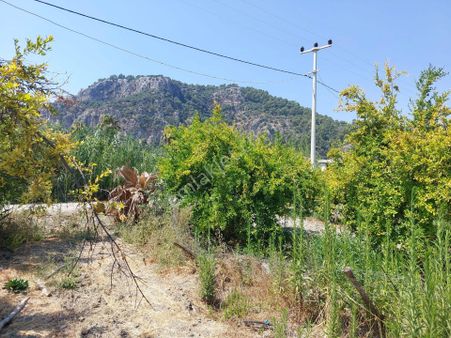 📍 Muğla Dalyan'da İmara Sıfır, Dalyan Kanalına Yakın 2.800 M² Satılık Arazi