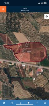 Nysa Emlaktan Köyceğiz Beyobasında Satılık Tarla