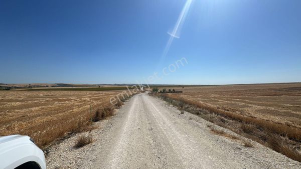 Tekirdağ Ergene Sağlık Osb Sınırında 13.000m2 Tek Tapu Tarla